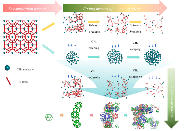 Microscopic insights into the fading mechanism of the hydrate memory effect